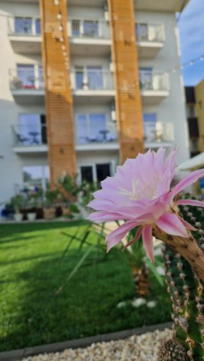 ALYA Sea Escape Costinesti - parcare gratuita